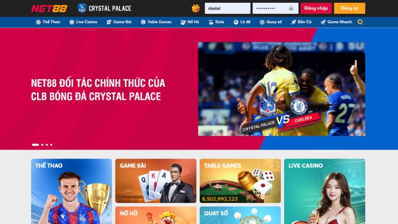 Giới Thiệu Sơ Lược Về Nhà Cái Cá Cược Trực Tuyến Net88